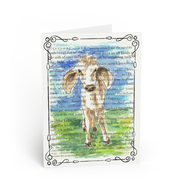 Calf Greeting Card