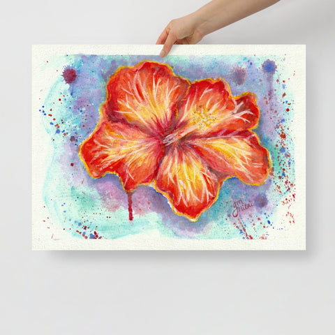 ‘Hibiscus Hues’ Poster